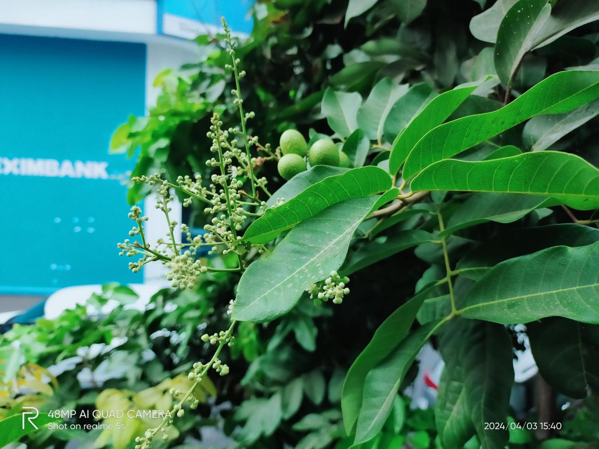Shusimi House & Boutique Near Tan Son Nhat Airport Ho Si Minh-város Kültér fotó